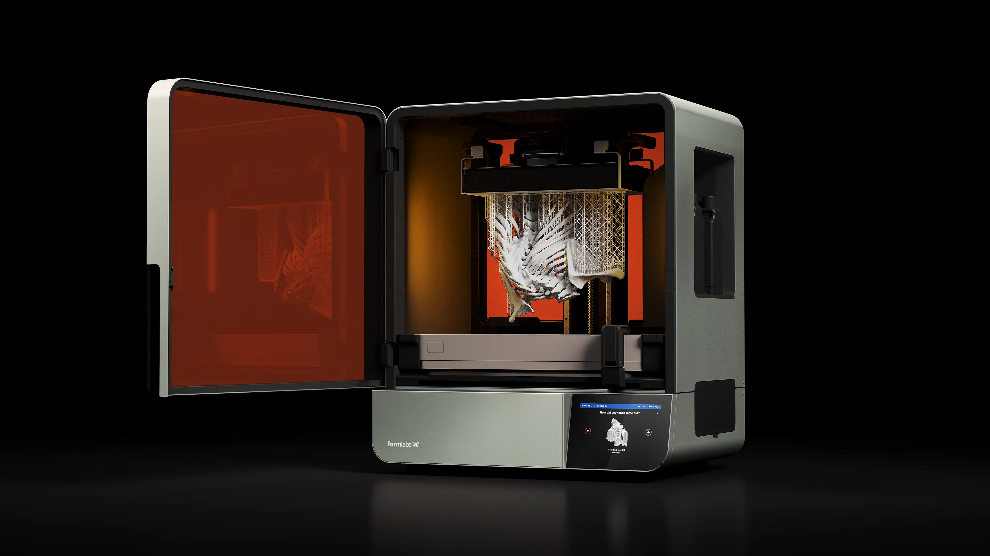 3D printed spine with scoliosis inside a Form 4BL