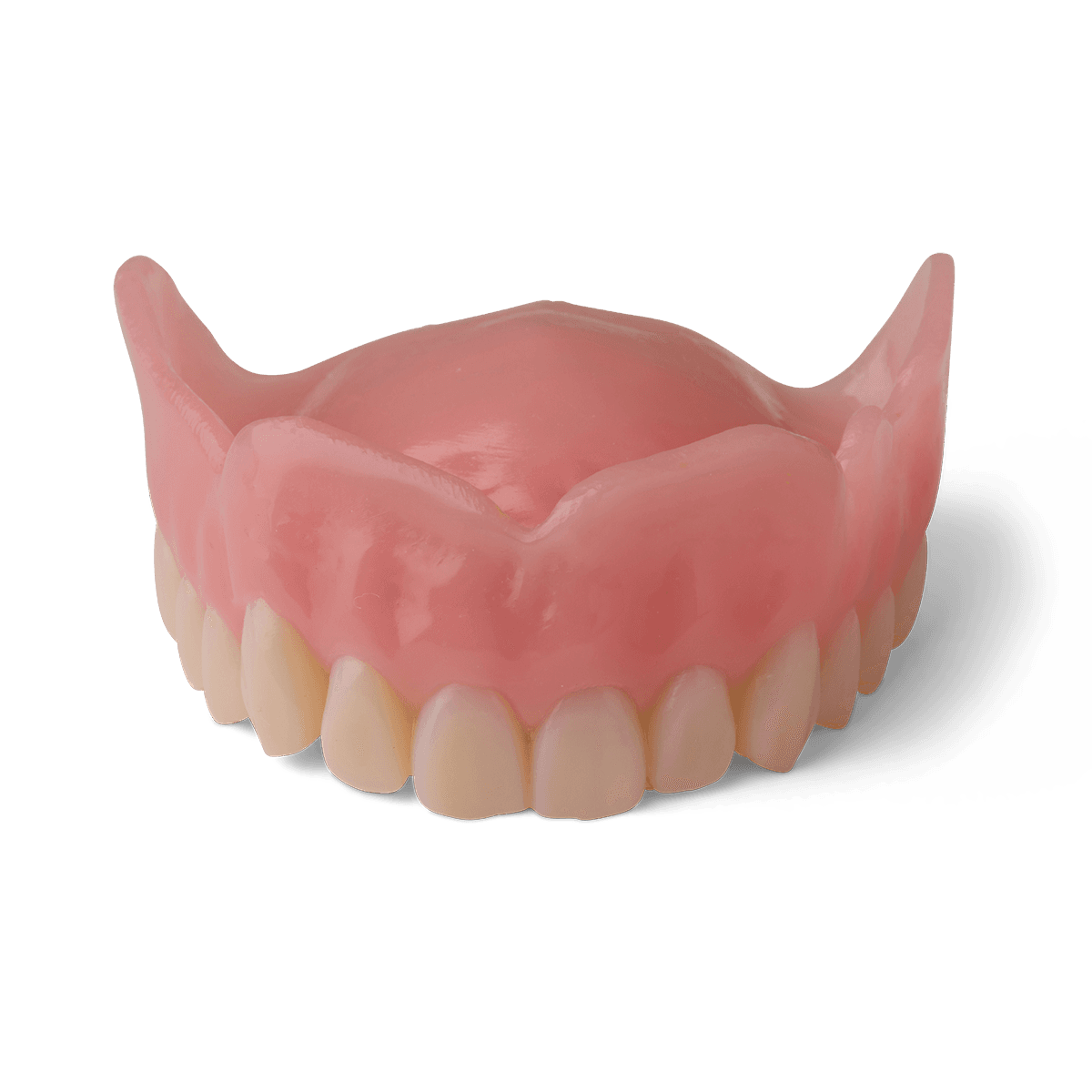 denture base resin v2